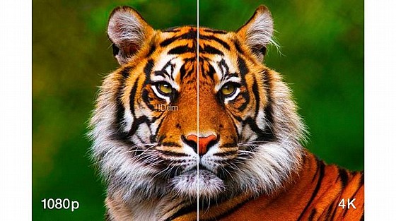 ���� EPSON ���:EH-LS11000W