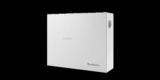 ��� ������ Audio Pro Business SUB-1