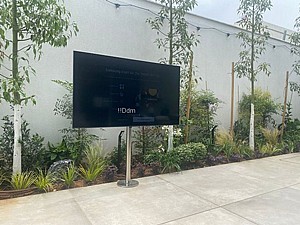 ���� ��������� ������� ���� 6.5 ����