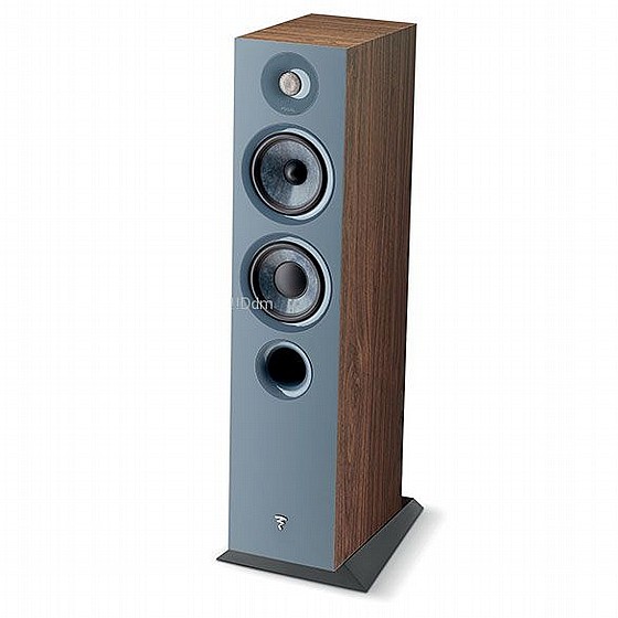 ����� ����� ���� ��� : FOCAL CHORA 816