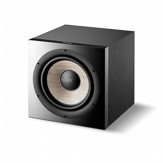 ��� ���� ������ ���� ��� : 1000F FOCAL