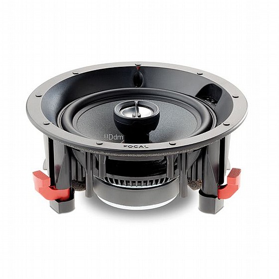 ����� ���� ���� ��� : 100ICW6 FOCAL