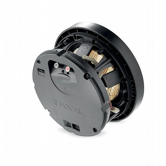 ����� ���� ���� ��� : Focal 300 ICW8