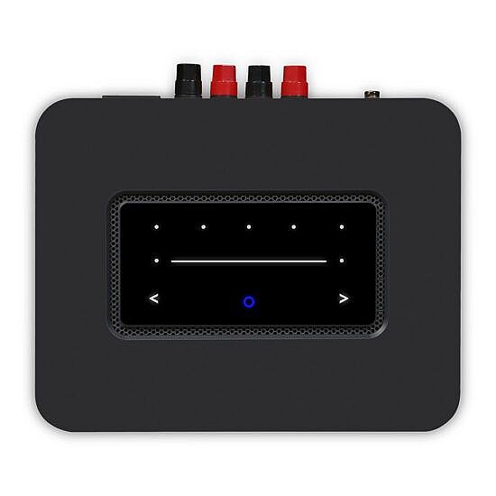 ���� ������ Bluesound POWERNODE  N330